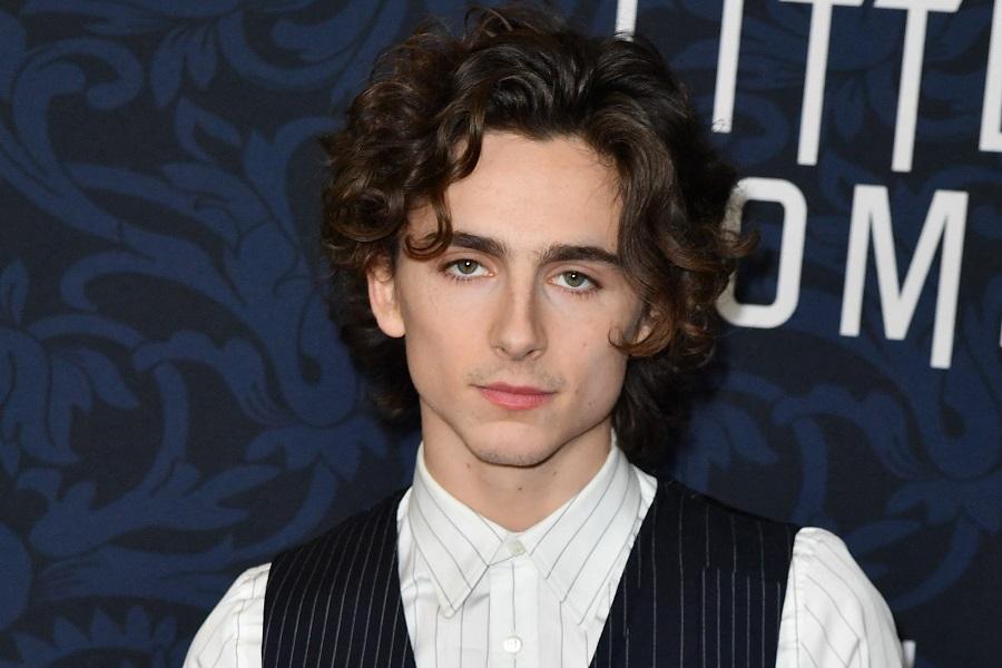 Τιμοτέ Σαλαμέ / Timothée Chalamet