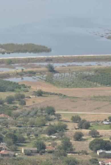 ΠΑΝΤΕΙΟ