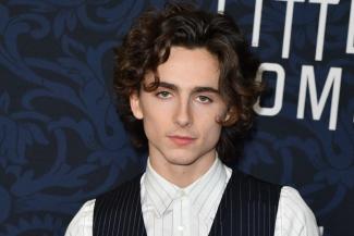 Τιμοτέ Σαλαμέ / Timothée Chalamet