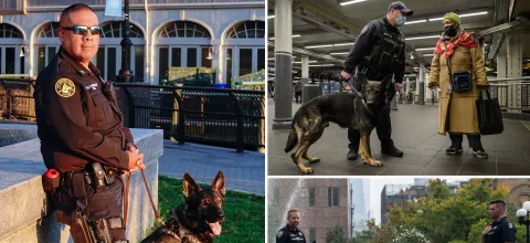 NYPD K-9 Handlers Sue for Overtime Pay for Dog Care