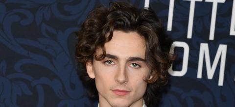 Τιμοτέ Σαλαμέ / Timothée Chalamet